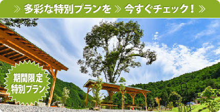 期間限定特別プラン